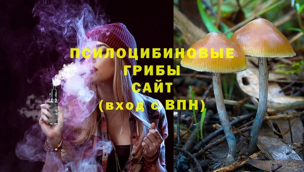 герыч Алексин